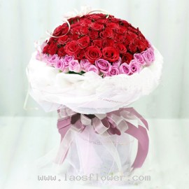 99 Red & Pink Roses